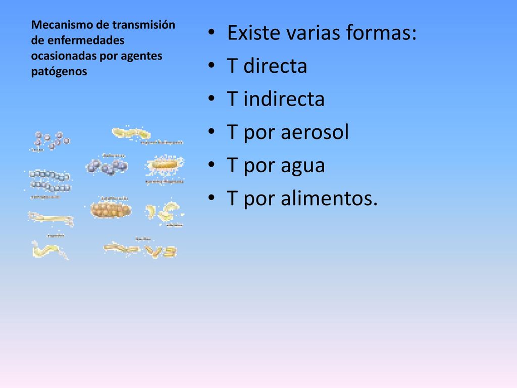Existe varias formas: T directa T indirecta T por aerosol T por agua