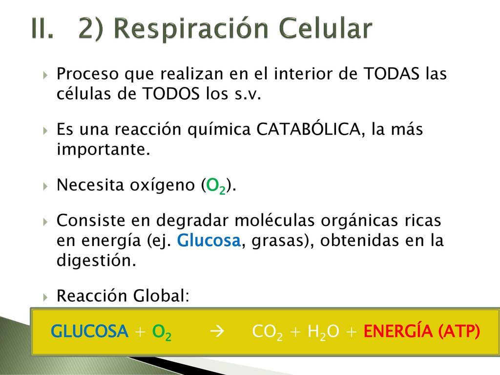 GLUCOSA + O2  CO2 + H2O + ENERGÍA (ATP)