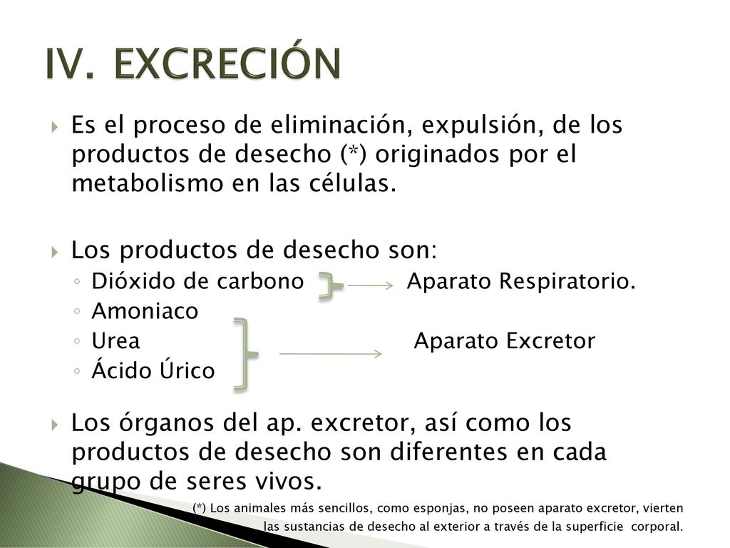 EXCRECIÓN Es el proceso de eliminación, expulsión, de los productos de desecho (*) originados por el metabolismo en las células.