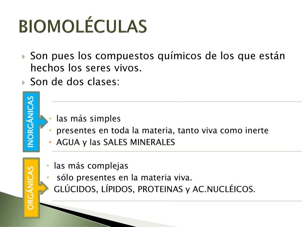 BIOMOLÉCULAS Son pues los compuestos químicos de los que están hechos los seres vivos. Son de dos clases: