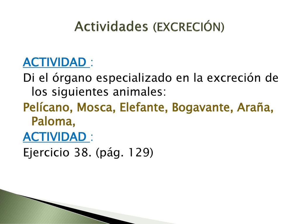 Actividades (EXCRECIÓN)