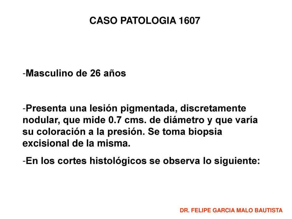 En los cortes histológicos se observa lo siguiente: