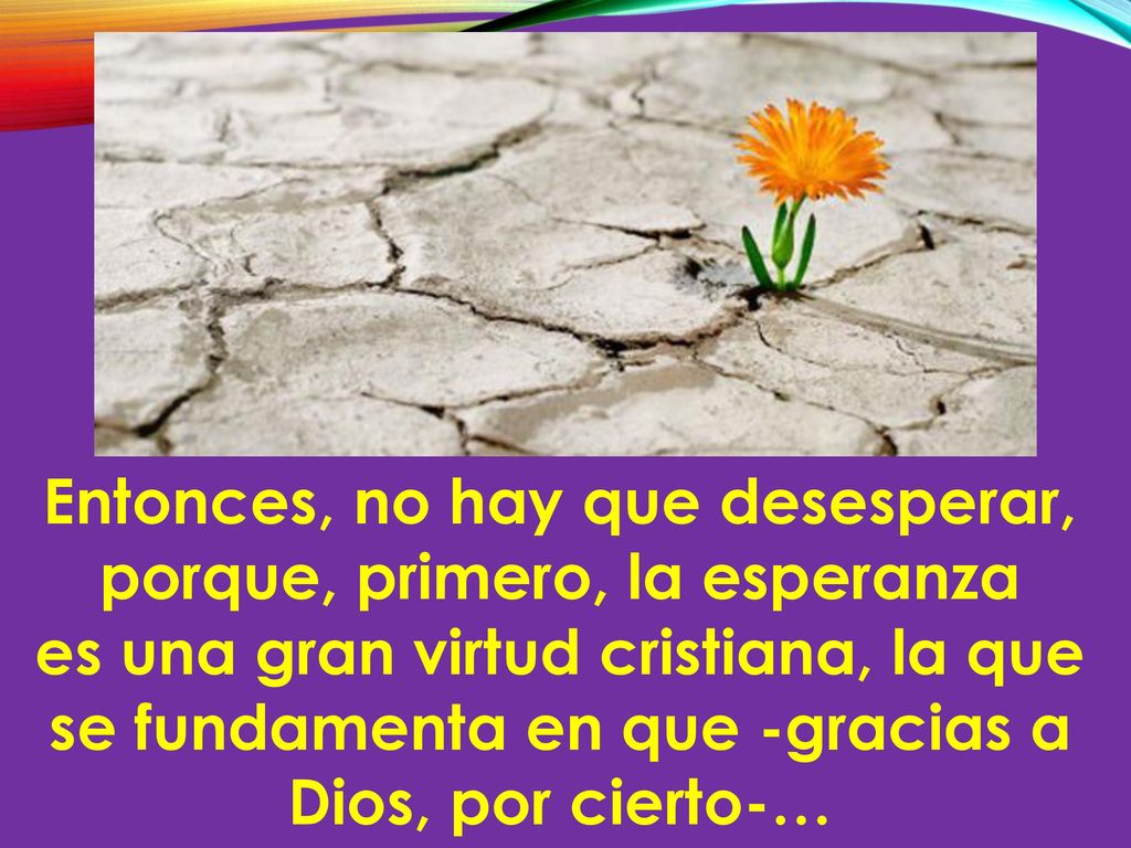Entonces, no hay que desesperar, porque, primero, la esperanza