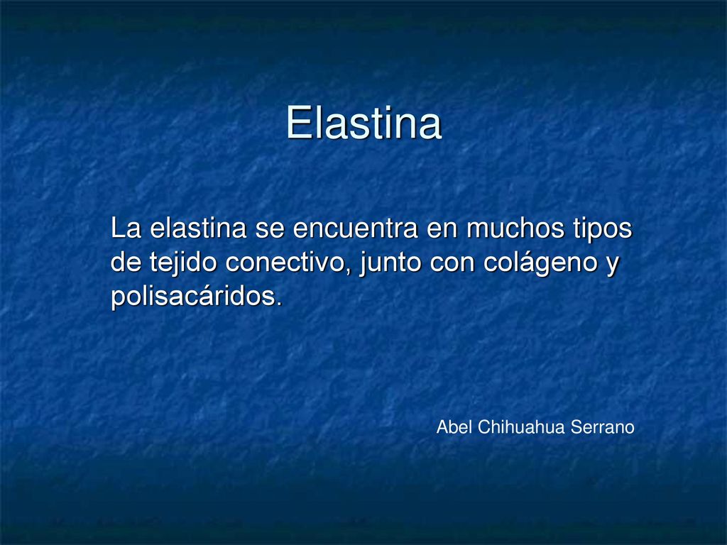 Elastina La elastina se encuentra en muchos tipos de tejido conectivo, junto con colágeno y polisacáridos.