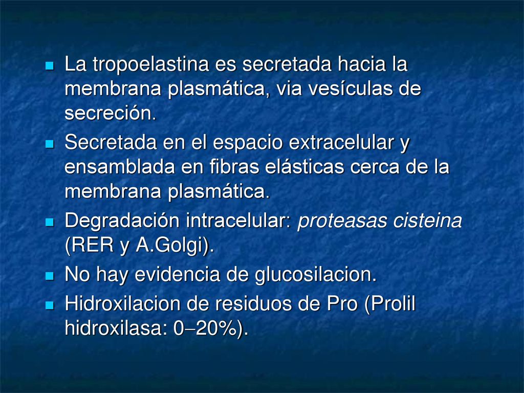 La tropoelastina es secretada hacia la membrana plasmática, via vesículas de secreción.