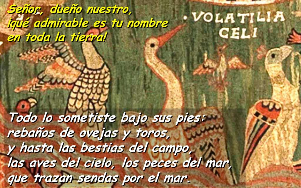 Señor, dueño nuestro, ¡qué admirable es tu nombre. en toda la tierra!