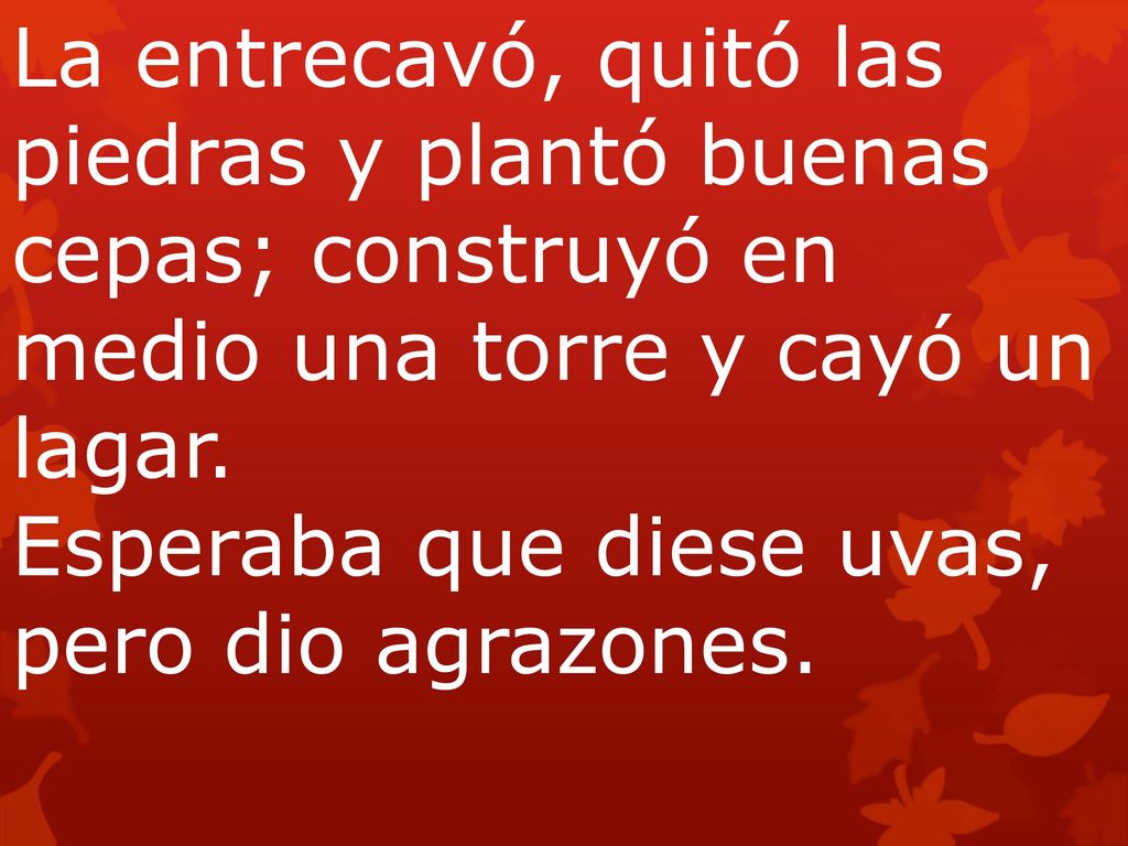 La entrecavó, quitó las piedras y plantó buenas cepas; construyó en medio una torre y cayó un lagar. Esperaba que diese uvas, pero dio agrazones.
