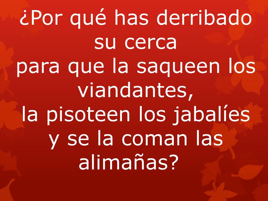 ¿Por qué has derribado su cerca para que la saqueen los viandantes, la pisoteen los jabalíes y se la coman las alimañas
