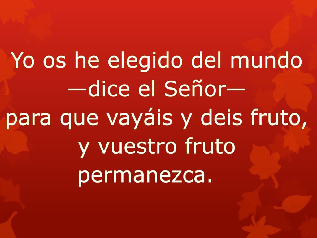 Yo os he elegido del mundo —dice el Señor— para que vayáis y deis fruto, y vuestro fruto permanezca.