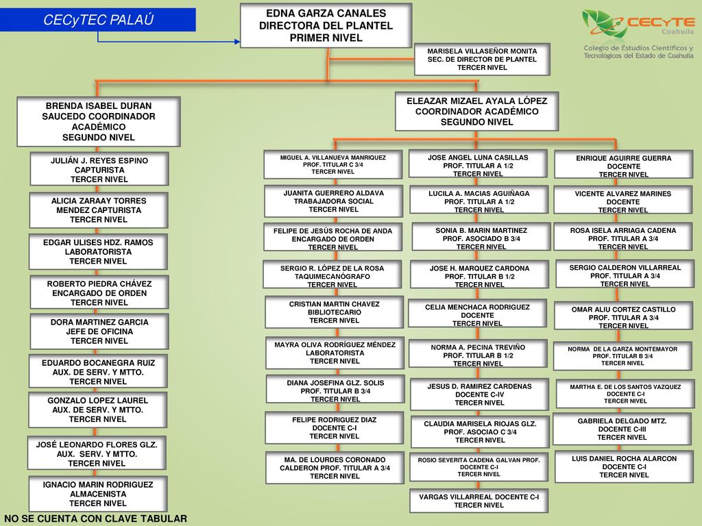 CECyTEC PALAÚ EDNA GARZA CANALES DIRECTORA DEL PLANTEL PRIMER NIVEL