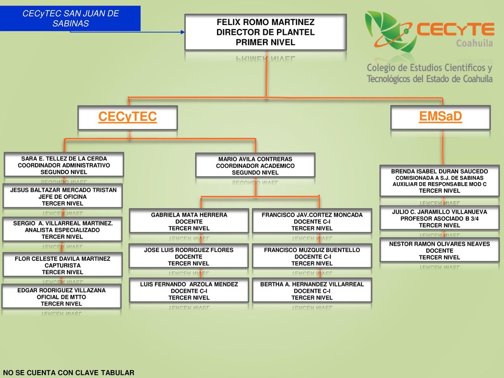 CECyTEC EMSaD CECyTEC SAN JUAN DE SABINAS FELIX ROMO MARTINEZ