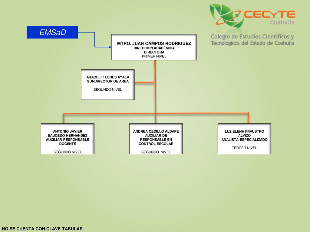 EMSaD MTRO. JUAN CAMPOS RODRIGUEZ NO SE CUENTA CON CLAVE TABULAR