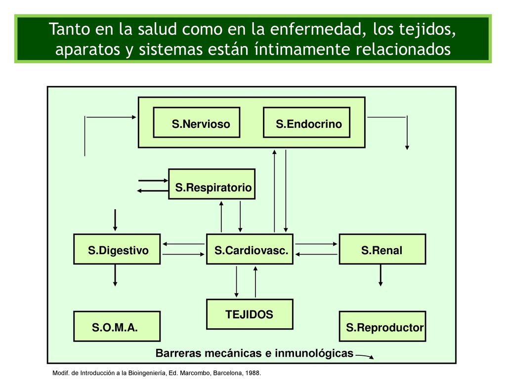 Tanto en la salud como en la enfermedad, los tejidos, aparatos y sistemas están íntimamente relacionados
