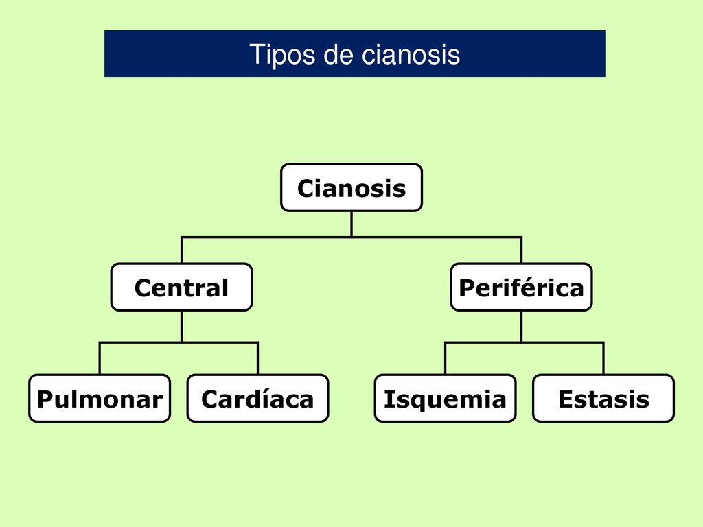 Tipos de cianosis Cianosis Central Periférica Pulmonar Cardíaca