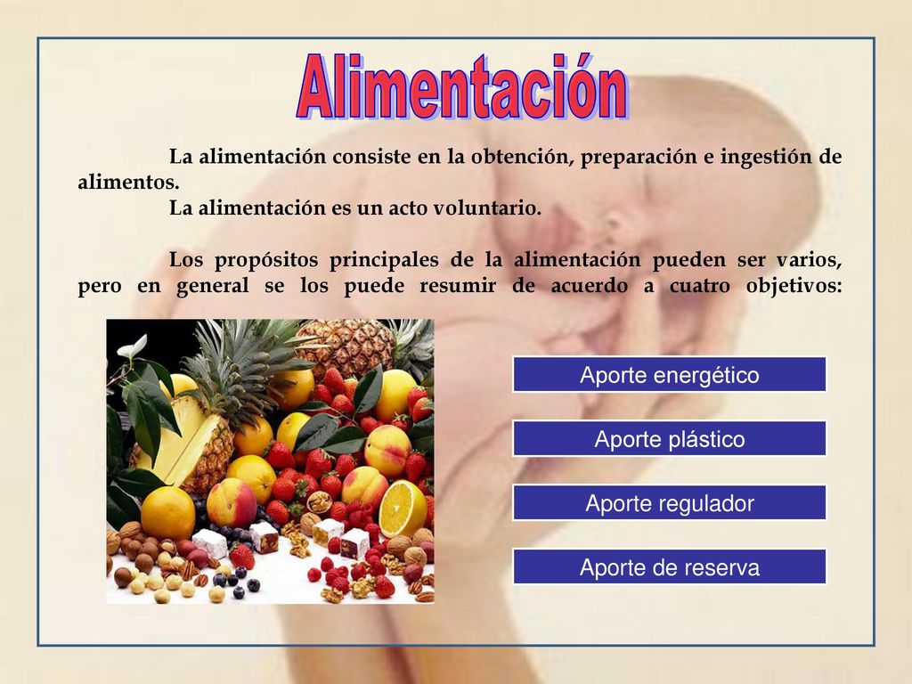 Alimentación La alimentación consiste en la obtención, preparación e ingestión de alimentos. La alimentación es un acto voluntario.