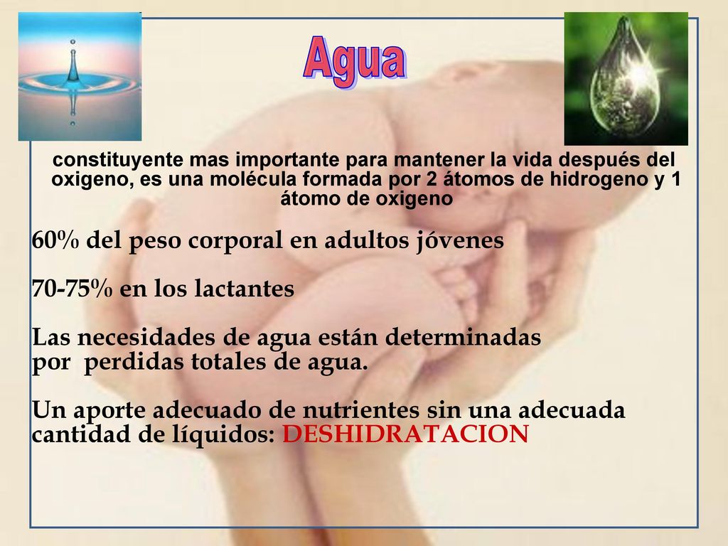Agua 60% del peso corporal en adultos jóvenes 70-75% en los lactantes