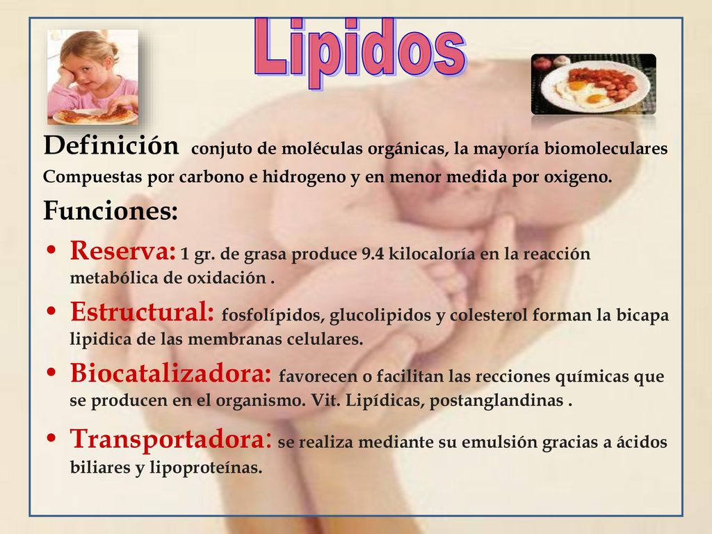 Lipidos Definición conjuto de moléculas orgánicas, la mayoría biomoleculares. Compuestas por carbono e hidrogeno y en menor medida por oxigeno.