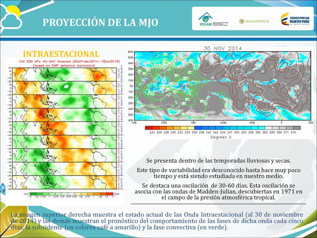 Se presenta dentro de las temporadas lluviosas y secas.