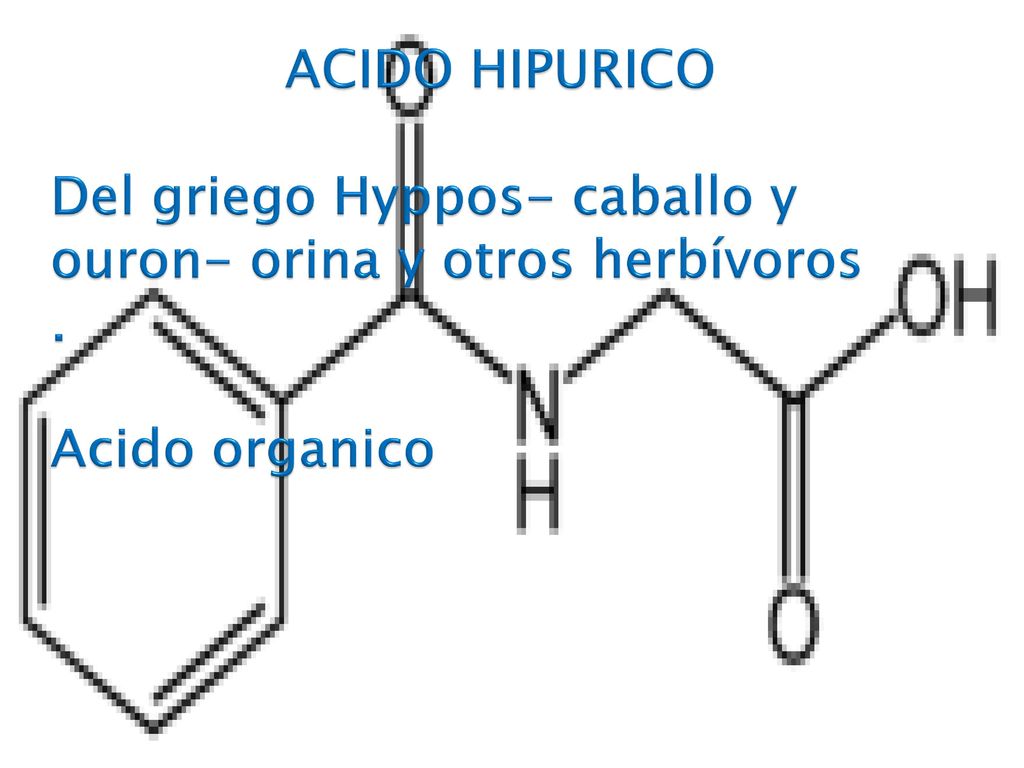 ACIDO HIPURICO Del griego Hyppos- caballo y ouron- orina y otros herbívoros . Acido organico