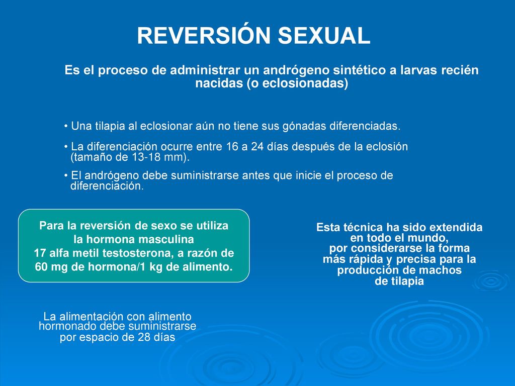 REVERSIÓN SEXUAL Es el proceso de administrar un andrógeno sintético a larvas recién. nacidas (o eclosionadas)