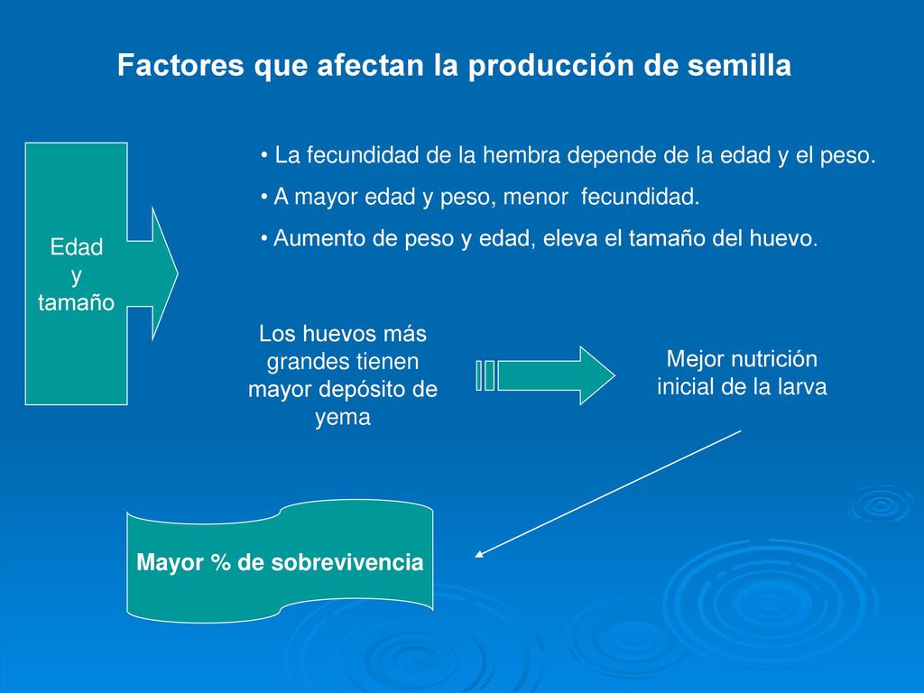 Factores que afectan la producción de semilla Mayor % de sobrevivencia