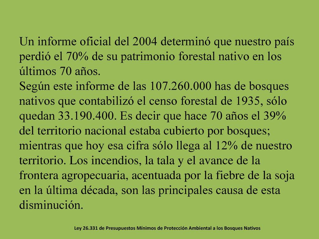 Un informe oficial del 2004 determinó que nuestro país perdió el 70% de su patrimonio forestal nativo en los últimos 70 años. Según este informe de las has de bosques nativos que contabilizó el censo forestal de 1935, sólo quedan Es decir que hace 70 años el 39% del territorio nacional estaba cubierto por bosques; mientras que hoy esa cifra sólo llega al 12% de nuestro territorio. Los incendios, la tala y el avance de la frontera agropecuaria, acentuada por la fiebre de la soja en la última década, son las principales causa de esta disminución.