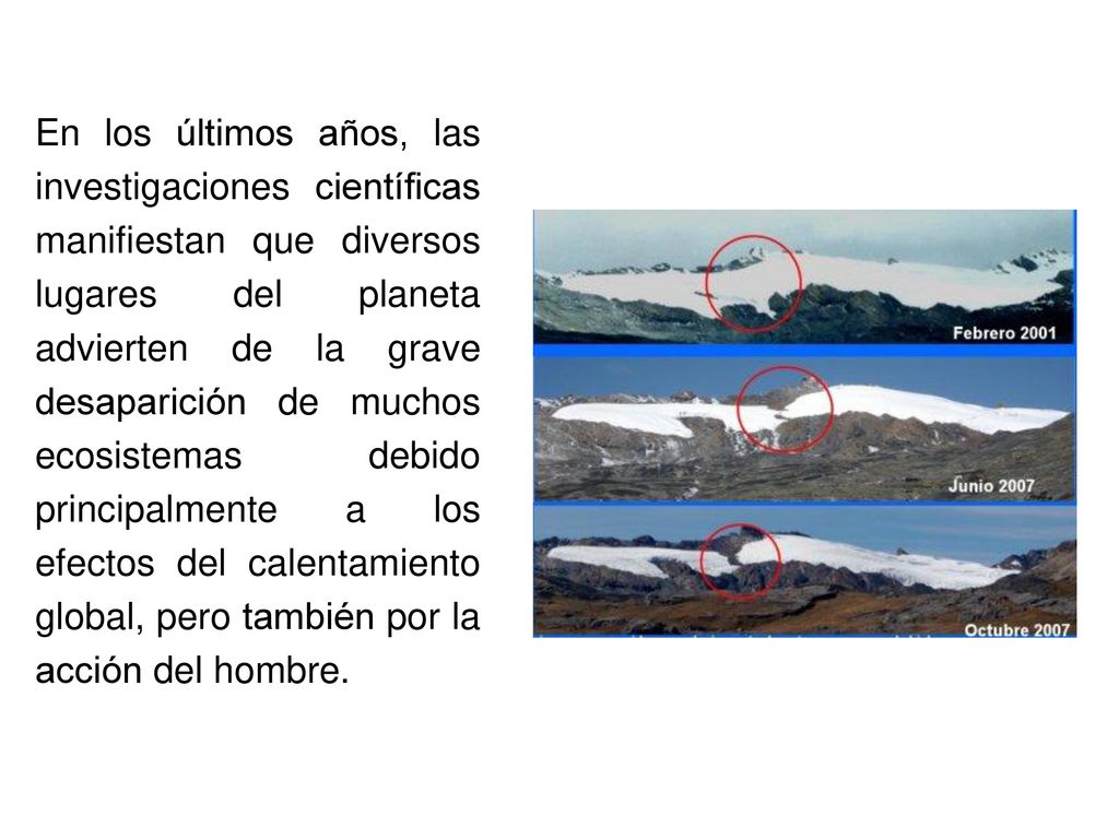 En los últimos años, las investigaciones científicas manifiestan que diversos lugares del planeta advierten de la grave desaparición de muchos ecosistemas debido principalmente a los efectos del calentamiento global, pero también por la acción del hombre.
