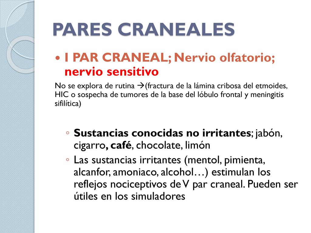 PARES CRANEALES I PAR CRANEAL; Nervio olfatorio; nervio sensitivo