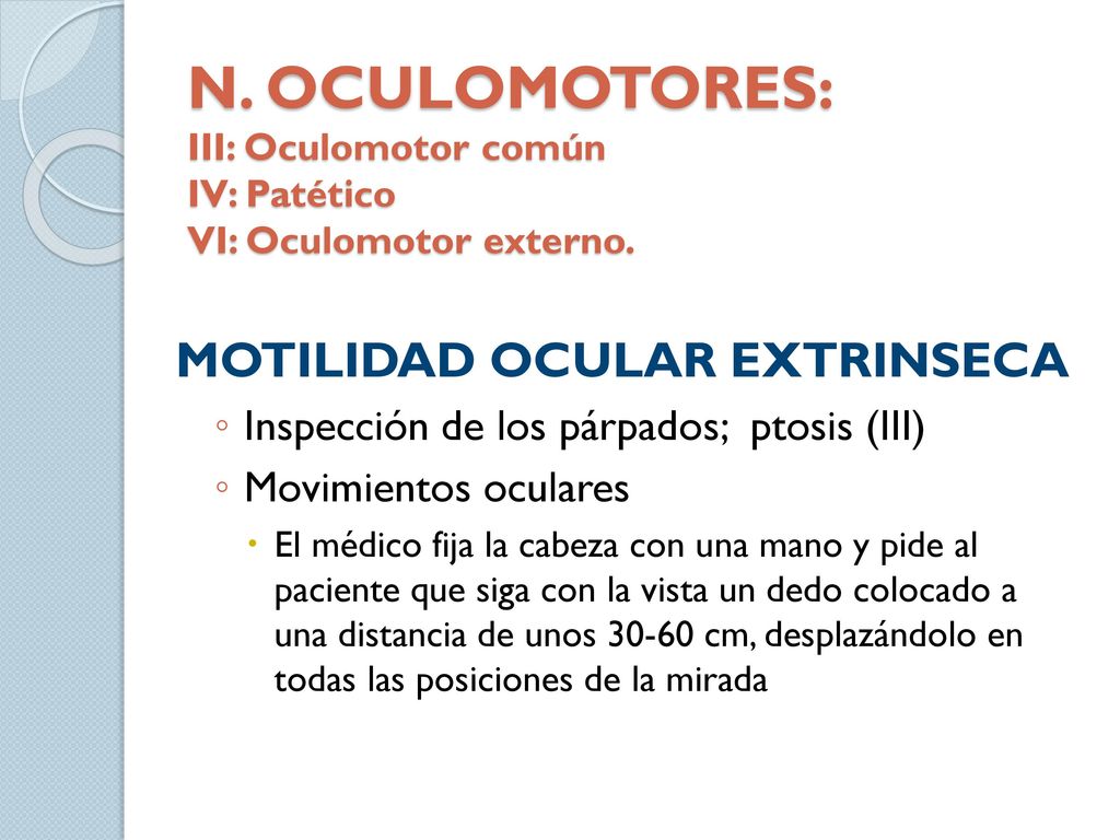 N. OCULOMOTORES: III: Oculomotor común IV: Patético VI: Oculomotor externo.