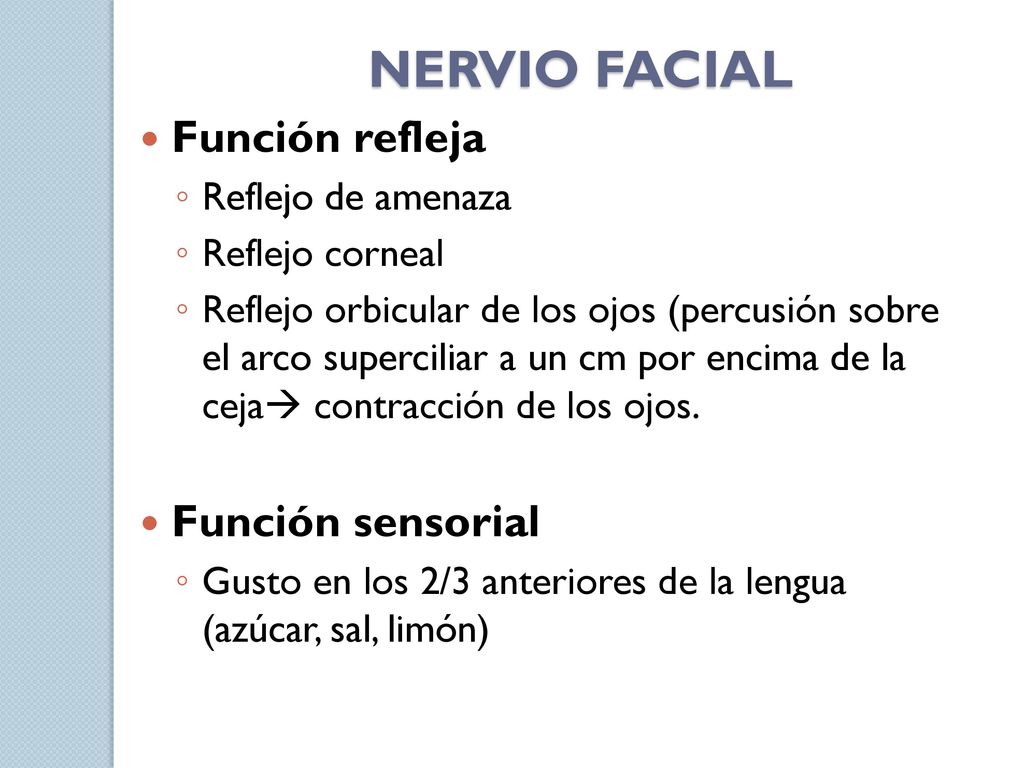 NERVIO FACIAL Función refleja Función sensorial Reflejo de amenaza