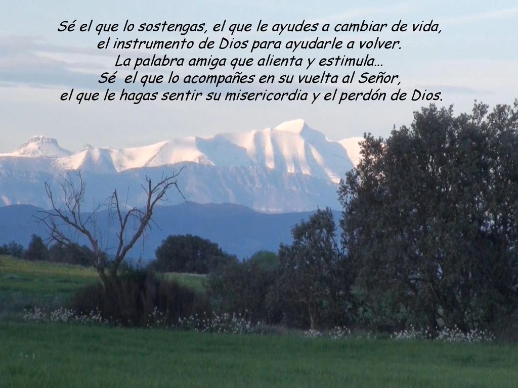 Sé el que lo sostengas, el que le ayudes a cambiar de vida,