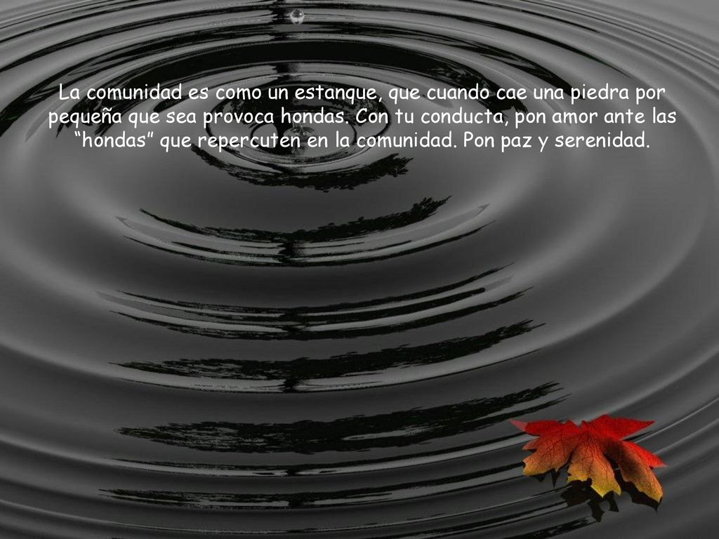 La comunidad es como un estanque, que cuando cae una piedra por pequeña que sea provoca hondas.
