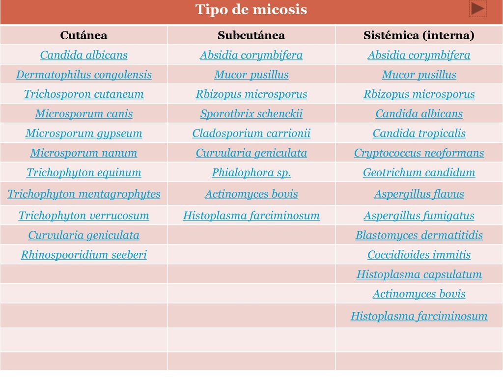 Tipo de micosis Cutánea Subcutánea Sistémica (interna)