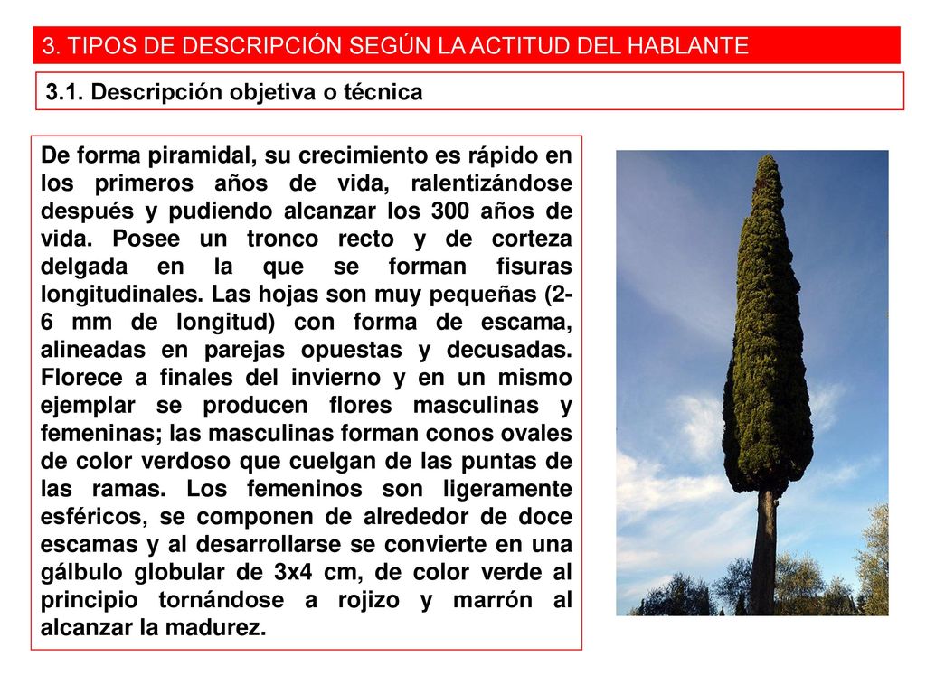 3. TIPOS DE DESCRIPCIÓN SEGÚN LA ACTITUD DEL HABLANTE