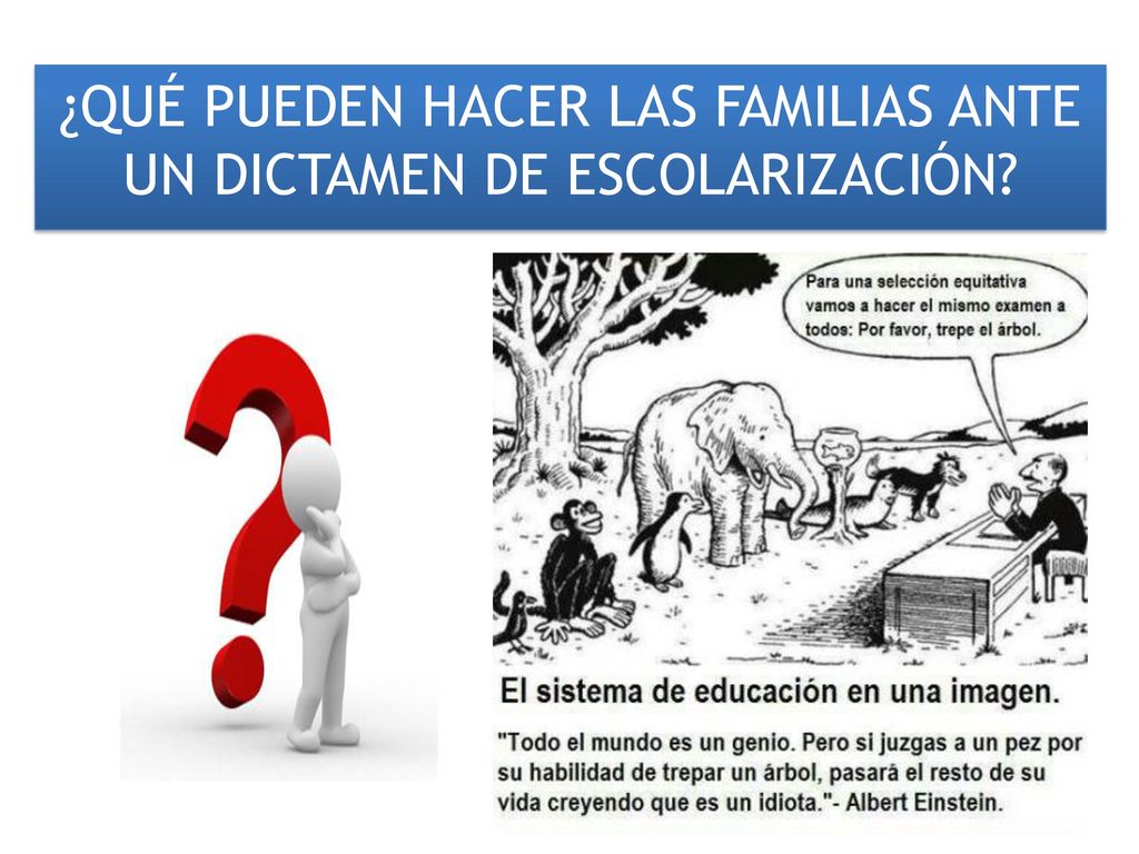 ¿QUÉ PUEDEN HACER LAS FAMILIAS ANTE UN DICTAMEN DE ESCOLARIZACIÓN