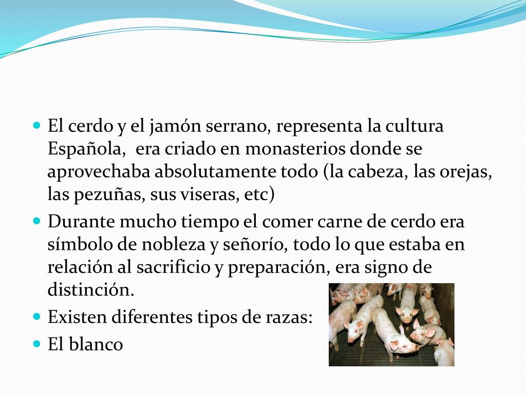 El cerdo y el jamón serrano, representa la cultura Española, era criado en monasterios donde se aprovechaba absolutamente todo (la cabeza, las orejas, las pezuñas, sus viseras, etc)