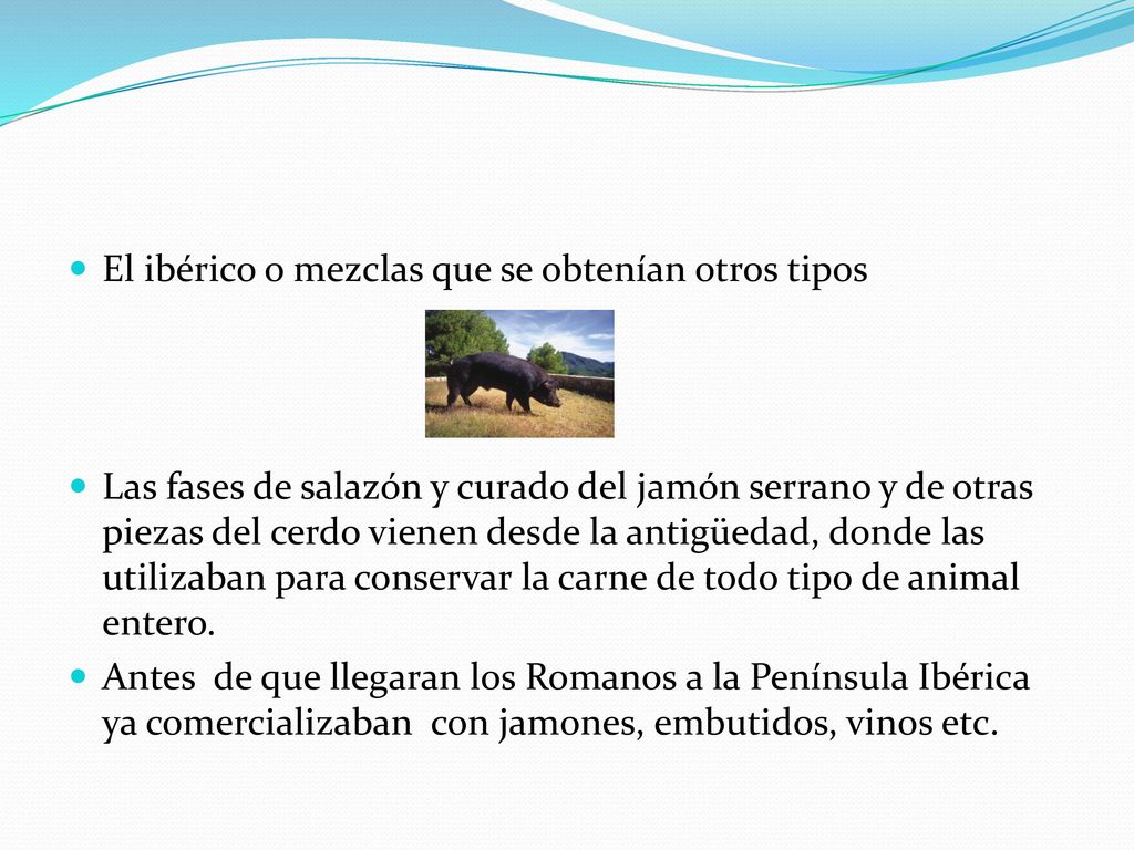El ibérico o mezclas que se obtenían otros tipos