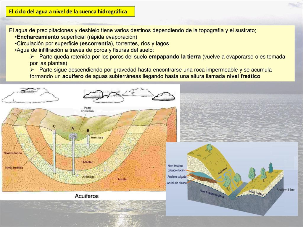 El ciclo del agua a nivel de la cuenca hidrográfica