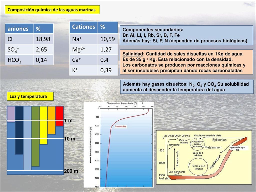 Cationes % Na+ 10,59 Mg2+ 1,27 Ca+ 0,4 K+ 0,39 aniones % Cl- 18,98