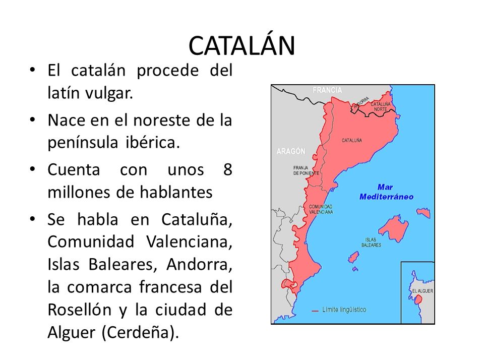 CATALÁN El catalán procede del latín vulgar.