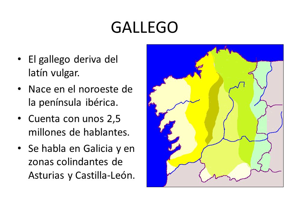 GALLEGO El gallego deriva del latín vulgar.