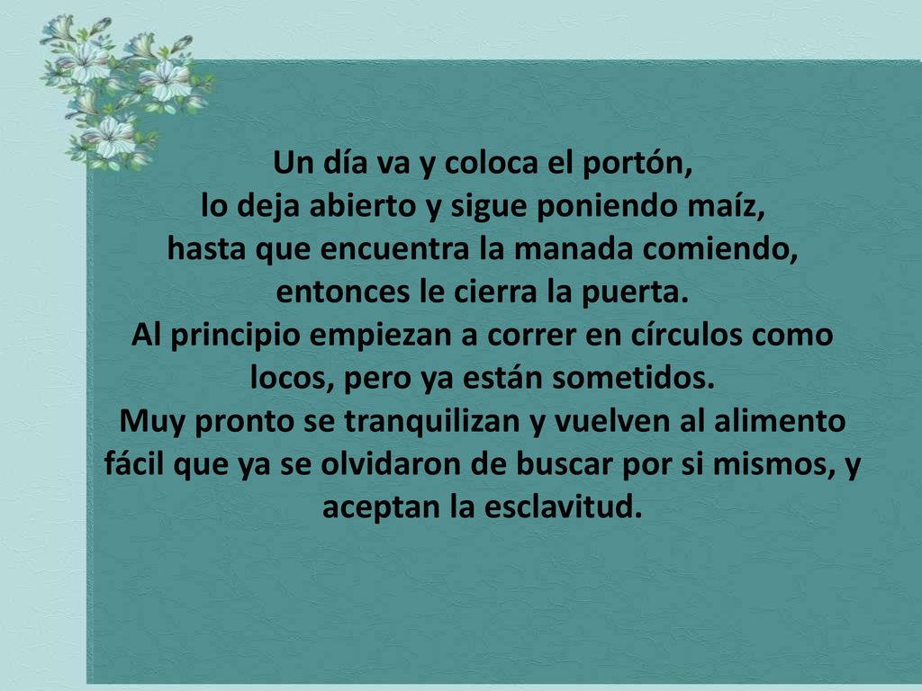 Un día va y coloca el portón, lo deja abierto y sigue poniendo maíz,