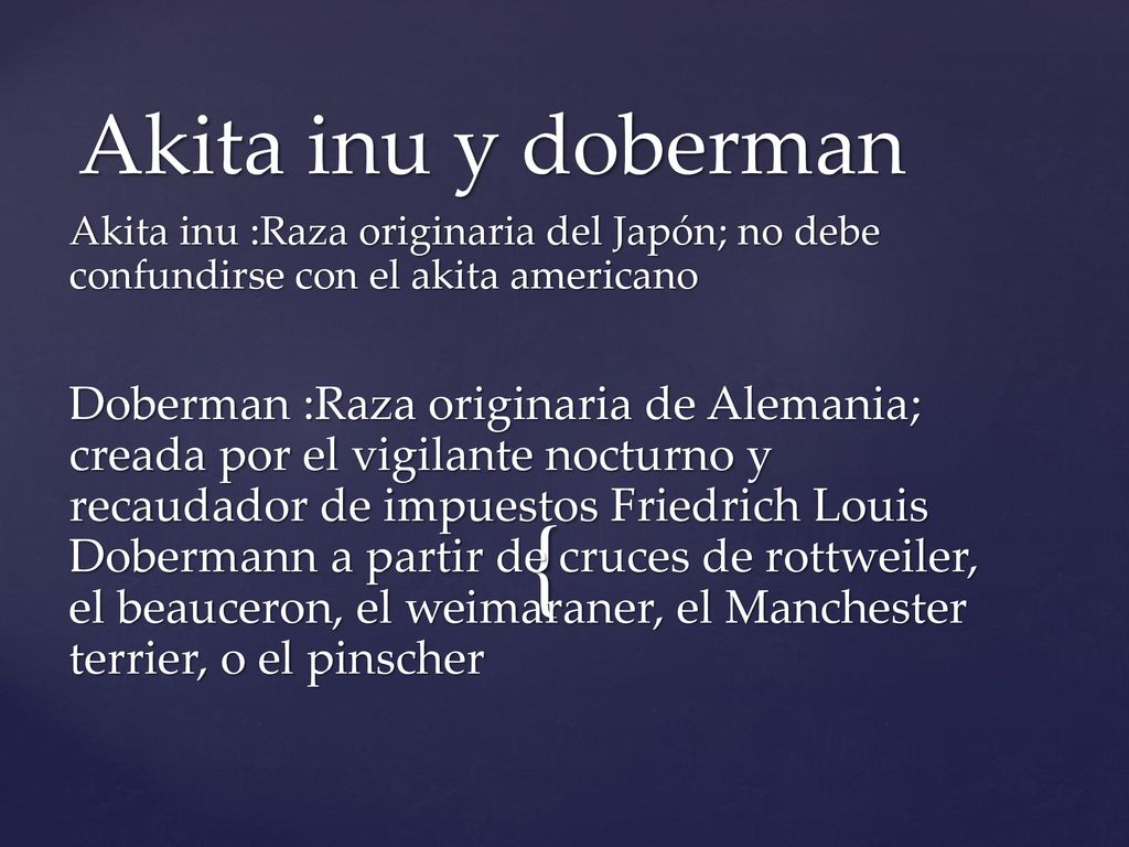 Akita inu y doberman Akita inu :Raza originaria del Japón; no debe confundirse con el akita americano.