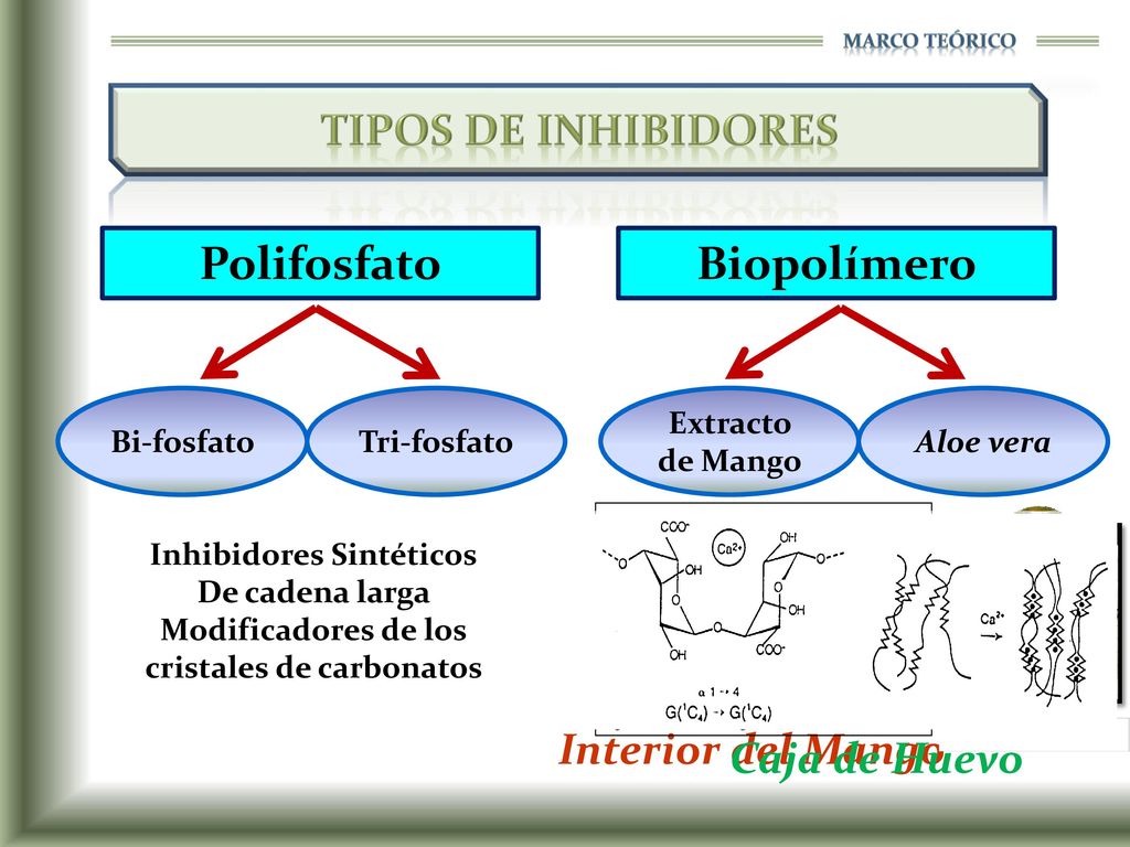 Inhibidores Sintéticos Modificadores de los cristales de carbonatos