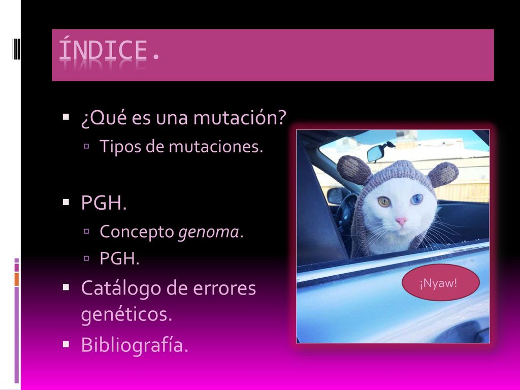 ÍNDICE. ¿Qué es una mutación PGH. Catálogo de errores genéticos.