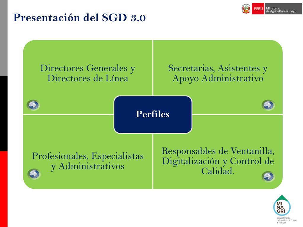 Presentación del SGD 3.0 Perfiles. Directores Generales y Directores de Línea. Secretarias, Asistentes y Apoyo Administrativo.