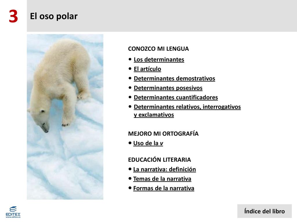 3 El oso polar CONOZCO MI LENGUA Los determinantes El artículo