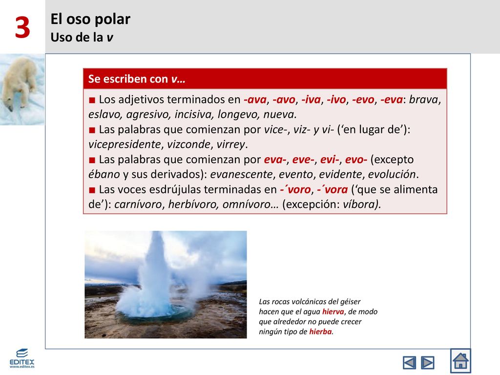 3 El oso polar Uso de la v Se escriben con v…