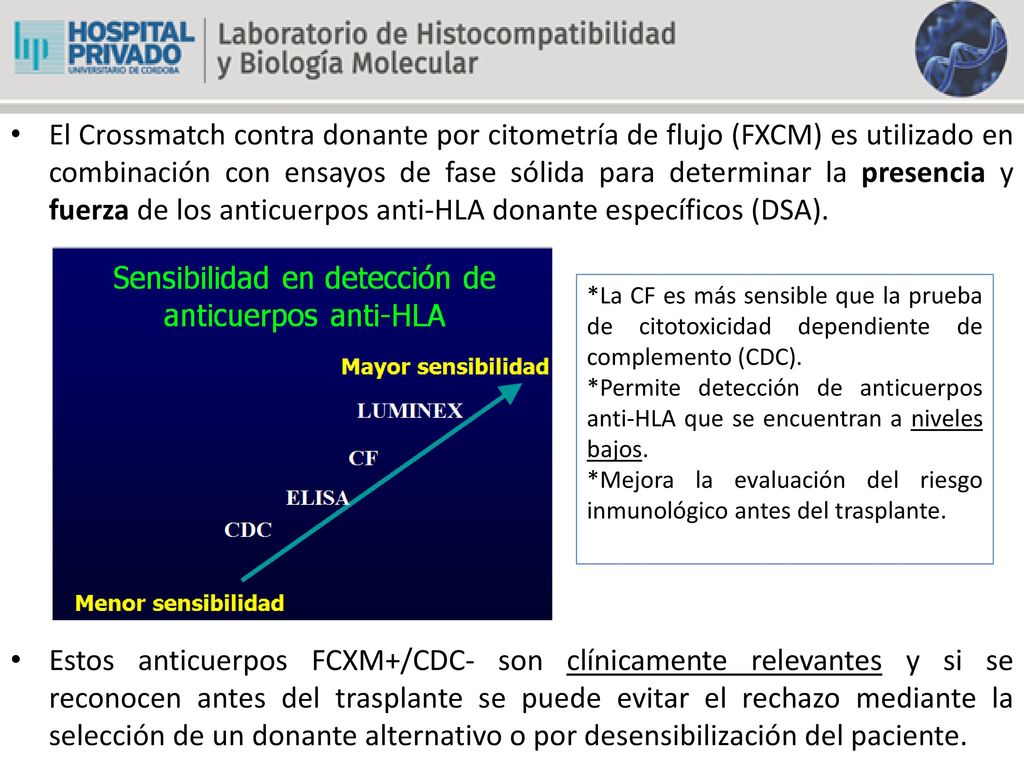 El Crossmatch contra donante por citometría de flujo (FXCM) es utilizado en combinación con ensayos de fase sólida para determinar la presencia y fuerza de los anticuerpos anti-HLA donante específicos (DSA).
