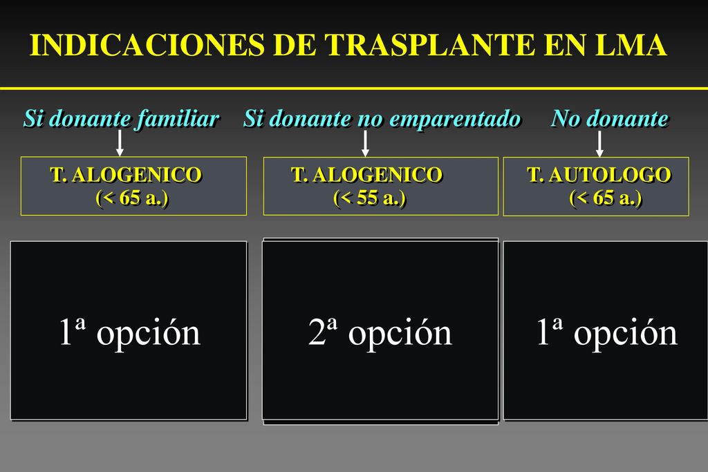 1ª opción 2ª opción 1ª opción INDICACIONES DE TRASPLANTE EN LMA